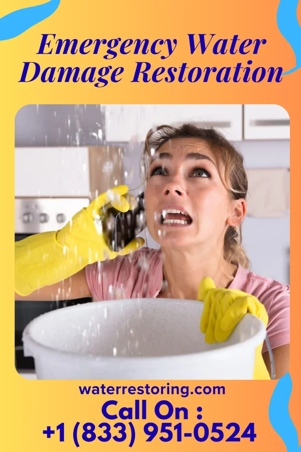 Emergency Water Damage Restoration in Waihee-Waiehu, HI