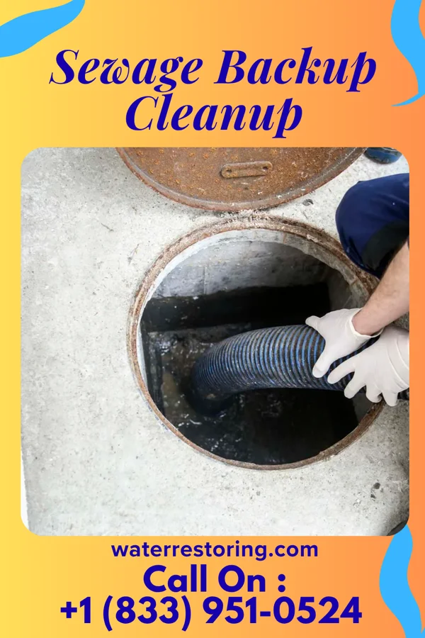 Sewage Backup Cleanup in Waihee-Waiehu, HI
